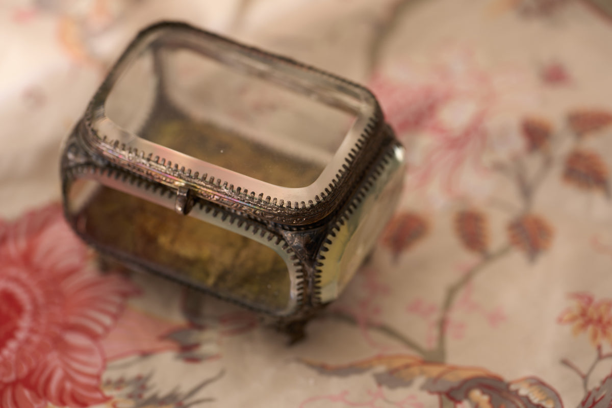 French Bevelled-Glass Jewel Casket, Etched Grapevine, c.1890