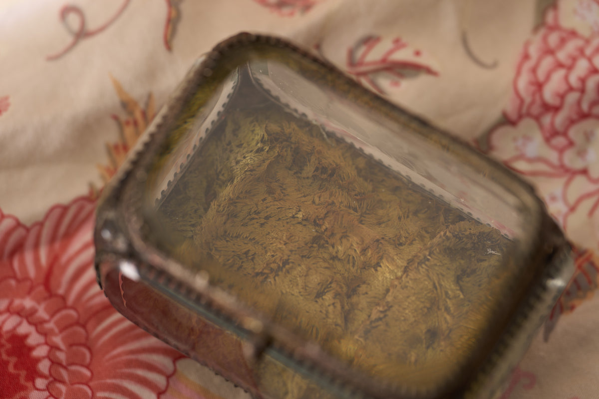 French Bevelled-Glass Jewel Casket, Etched Grapevine, c.1890