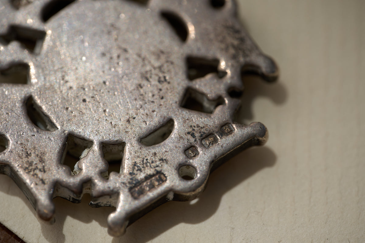 Coil-Wrapped Single Albert with Fob Medal in Sterling Silver, Birmingham, c.1894
